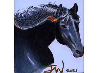 Challenger II: Swift by Jennifer  Wowor