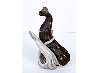 Squid & The Whale by Rae Douglass