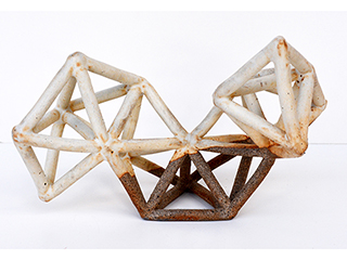 Geodesic Dragon by Rae Douglass