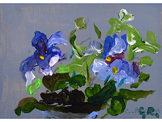 Purple Baloon Flower by Carin Rapson