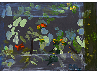 Flowers at Volcano by Carin Rapson