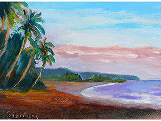 Black Sandsm Big Island by Warren Stenberg