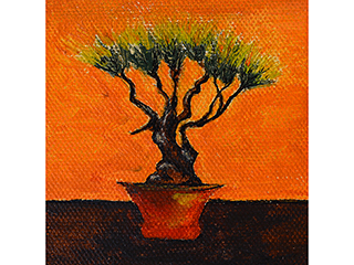 Bonsai 2 by Frances Wong