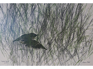 Field Birds 22/50 by Louis Pohl (1915-1999)