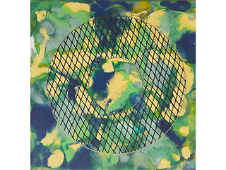 Observations 5 by Linda  Kane