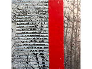 Notions 12 by Linda  Kane