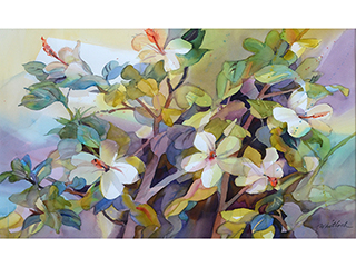 Hibiscus by Roger Whitlock