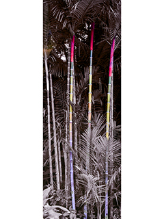 Lipstick Palms by Debra Casey