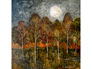 Moon Song by Anna Marie Sheehan