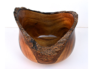 Bark-edged Kou by Eric  Le Buse
