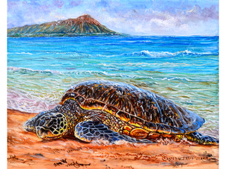 Resting Honu by Esperance Rakotonirina