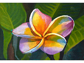 Summer Plumeria by Julian  Coffee
