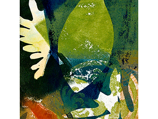 Tropics by Linda Spadaro