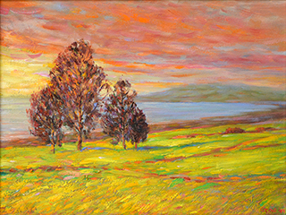 Upcountry Maui by Victor Gao