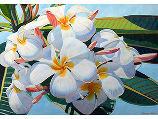 Plumeria Blooms by Fabienne Blanc