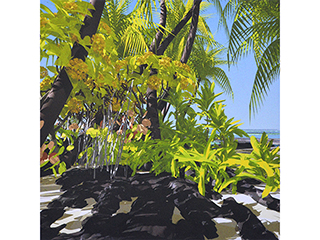 Kona Morning #104 by Stephen Yuen