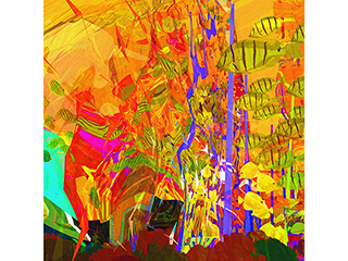 Waikiki Aquarium Afternoon Sun no.92 by Stephen Yuen