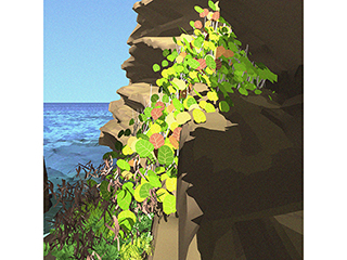 Lanai Lookout Study 202 by Stephen Yuen