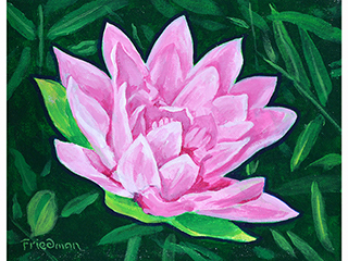 Lotus by David  Friedman (1941-2024)