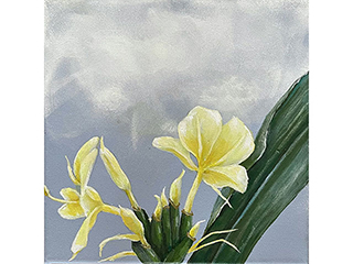 Yellow Ginger by Sandra Blazel