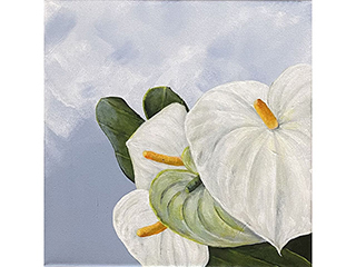 White Anthurium by Sandra Blazel