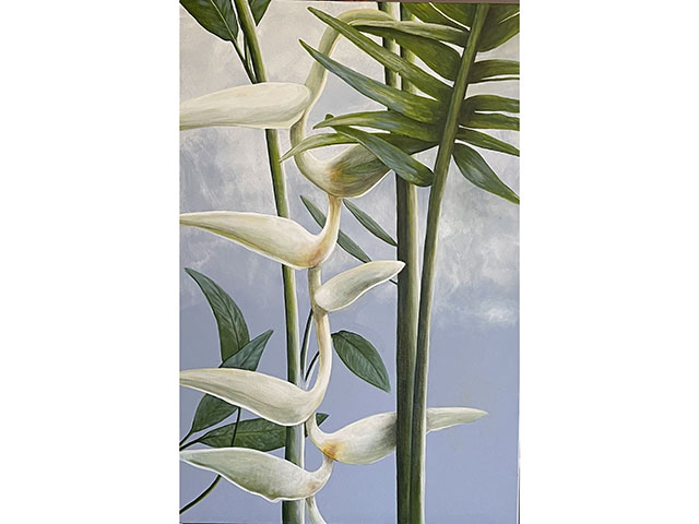 White Heleconia by Sandra Blazel