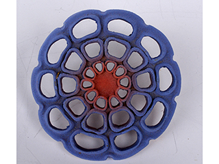 Diatom 2 by Christopher Edwards