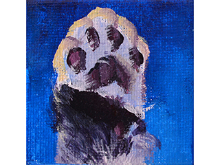 Pawsome by Lauren Hana Chai