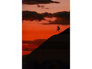 Catching a Plane by Philippe Gross