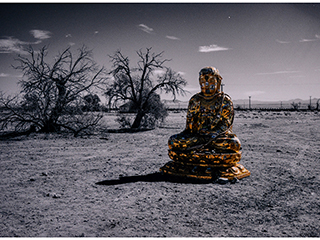 Wandering...Desert Buddha by Debra Casey