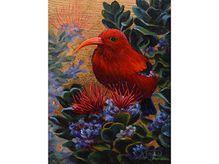 Precious I'iwi by Kelley Fitzgerald