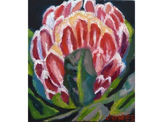 Red Protea by Jeannine Hakman  Jones