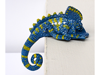 Dwarf Chameleon #7 by , Minette