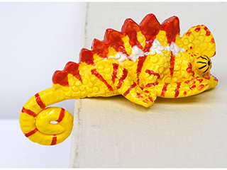 Dwarf Chameleon #8 by , Minette