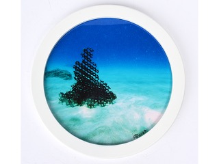 Buddha Under the Waters off Waikiki by Rae Douglass