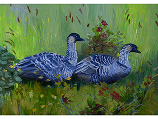 Nene with   helo by Wendy Roberts