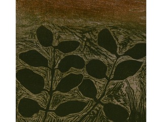 Surface Waters by Laura Smith