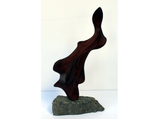 Facial Figure by Jerry Vasconcellos
