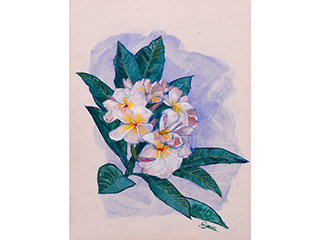 Plumeria #1 by Michelle Wynn