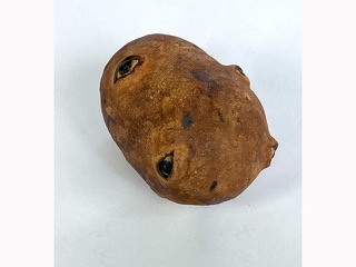 Mr. Potato Head by Maile Sakamoto