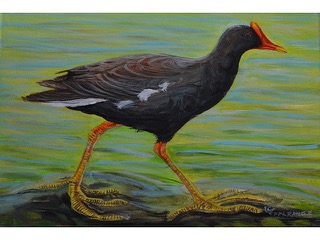 I'iwi by Esperance Rakotonirina