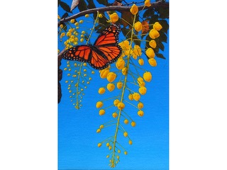 Monarch  Ascent by Heather Lieurance