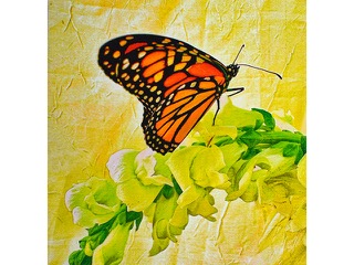 Becoming Light by Heather Lieurance