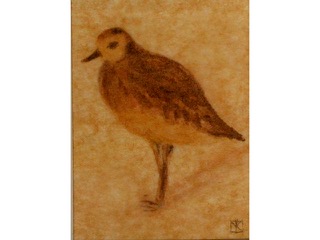 My Little Kolea by Mari Kuramochi