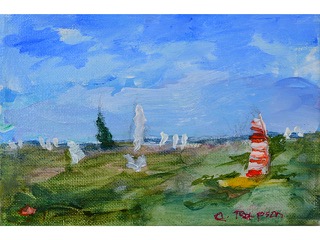 Boats at Play #1 by Carin Rapson