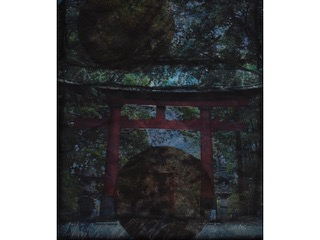 Two Worlds by Diane Nushida-Tokuno