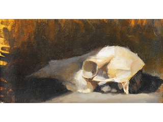 Still Life of Deer Skull by Monte Razee