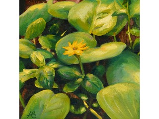 In the Beach Weeds by Ashleigh Streiff