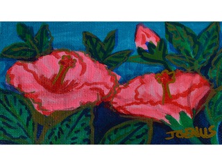 Hibiscus by J Genus