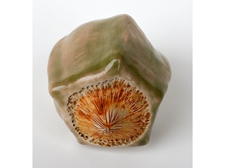 Special Seed Rattle by Jolyn Okimoto